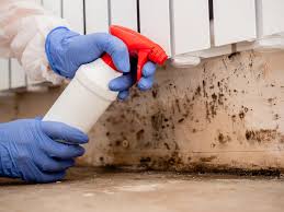 Best Forensic Mold Investigation  in Hornsby Bend, TX